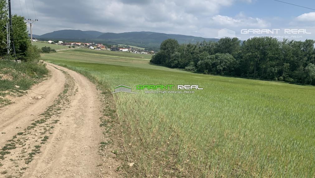 GARANT REAL - predaj záhradky 260 m2 - 430 m2, Prešov, Solivar