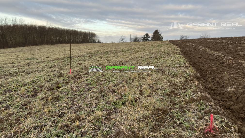 GARANT REAL - predaj záhradky 260 m2 - 430 m2, Prešov, Solivar